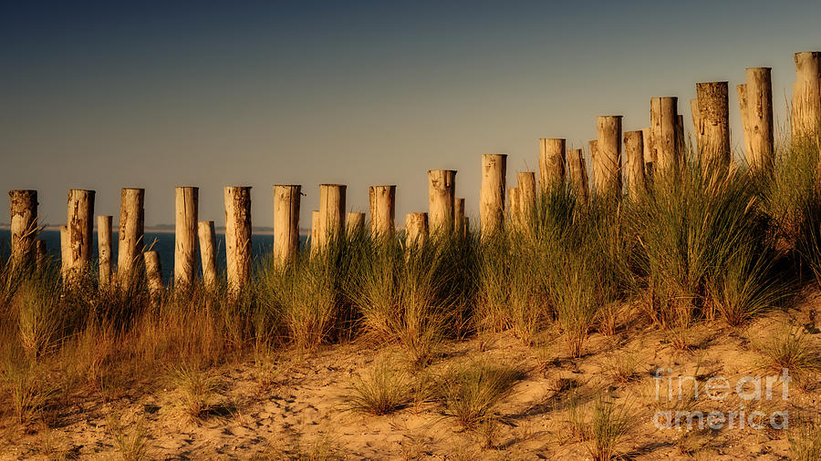 Poles In The Sand Dunes At Sunset Photograph