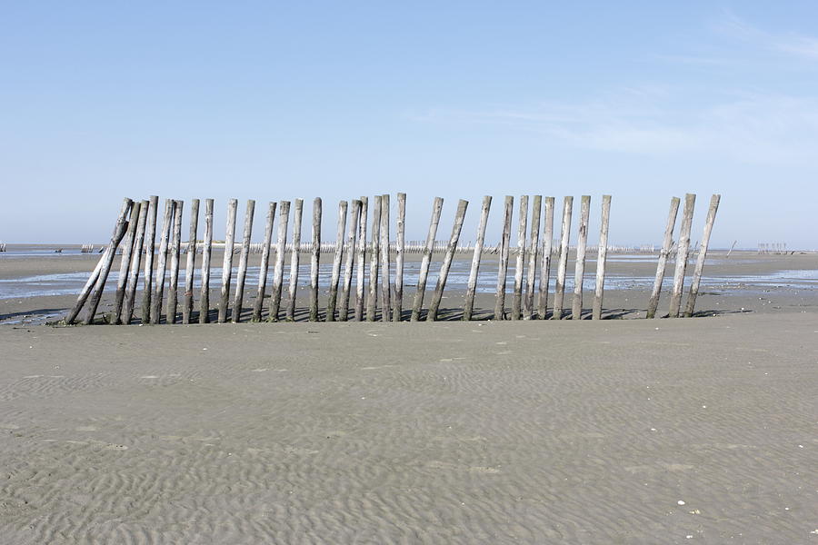 Nature Photograph - Poles on the sandbar by Ronald Jansen