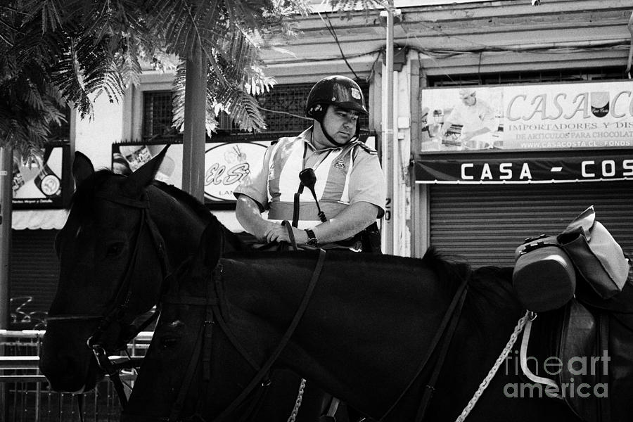 Horse Photograph - police officer on horseback carabineros de chile national police Santiago Chile by Joe Fox