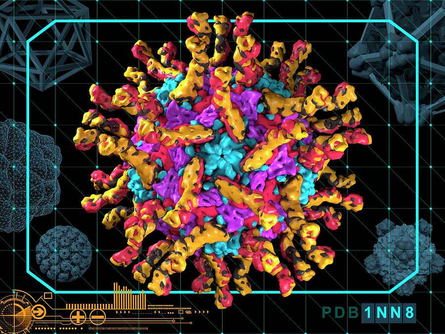 Poliovirus Capsid With Receptor Photograph By Laguna Designscience Photo Library Fine Art America