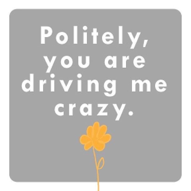 Politely, You Are Driving Me Crazy Photograph by Meredith Leah
