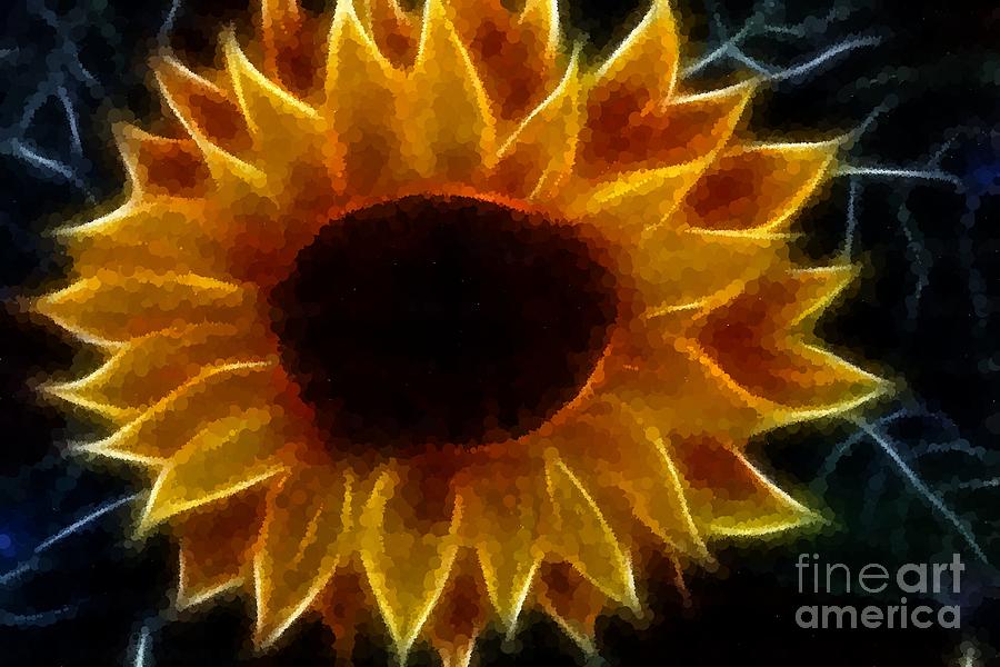 Polka Dot Glowing Sunflower Photograph by Barbara A Griffin