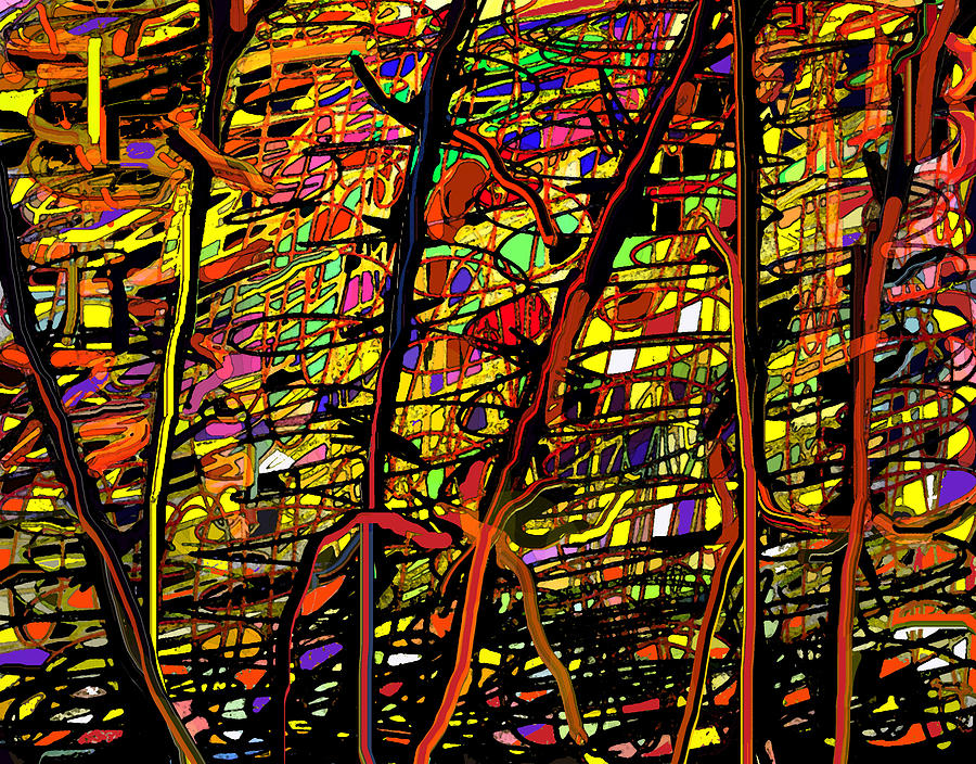 Pollock Revised Digital Art by Ian  MacDonald