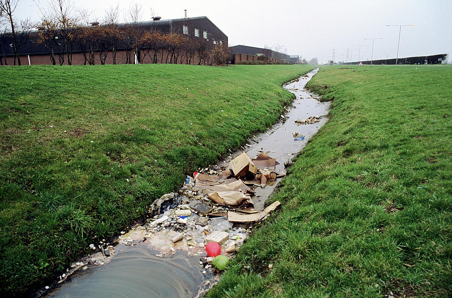 Ditch Photograph - Polluted Ditch by Robert Brook/science Photo Library