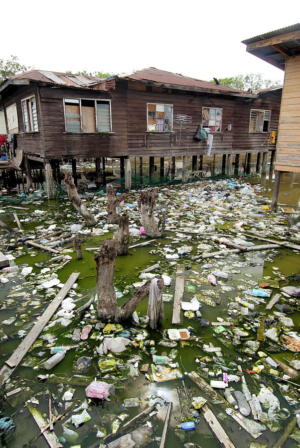 Polluted River By Dwellings Photograph by Sinclair Stammers/science Photo Library