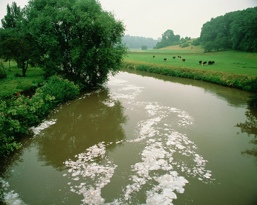Polluted River Photograph by Martin Bond/science Photo Library