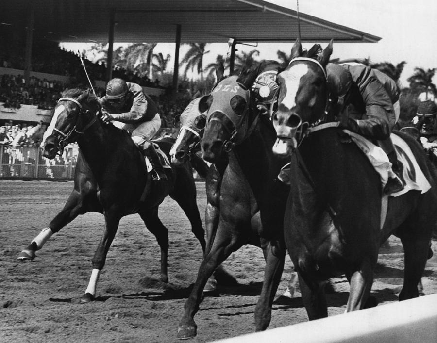 Vintage Photograph - Polo Boreal Horse Racing Vintage by Retro Images Archive