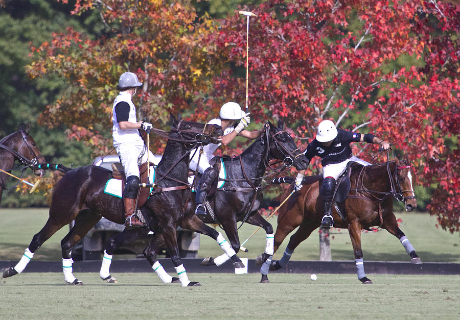 Polo in Canuelas, Argentina Photograph by Venetia Featherstone-Witty