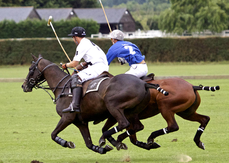 Sports Photograph - Polo Match in Argentina by Venetia Featherstone-Witty