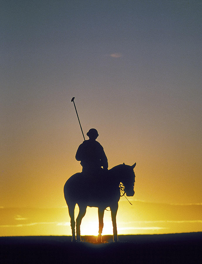 Polo Player Photograph by Buddy Mays