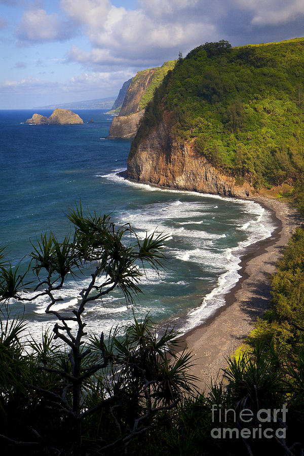 Landscape Photograph - Pololu by Aaron Whittemore