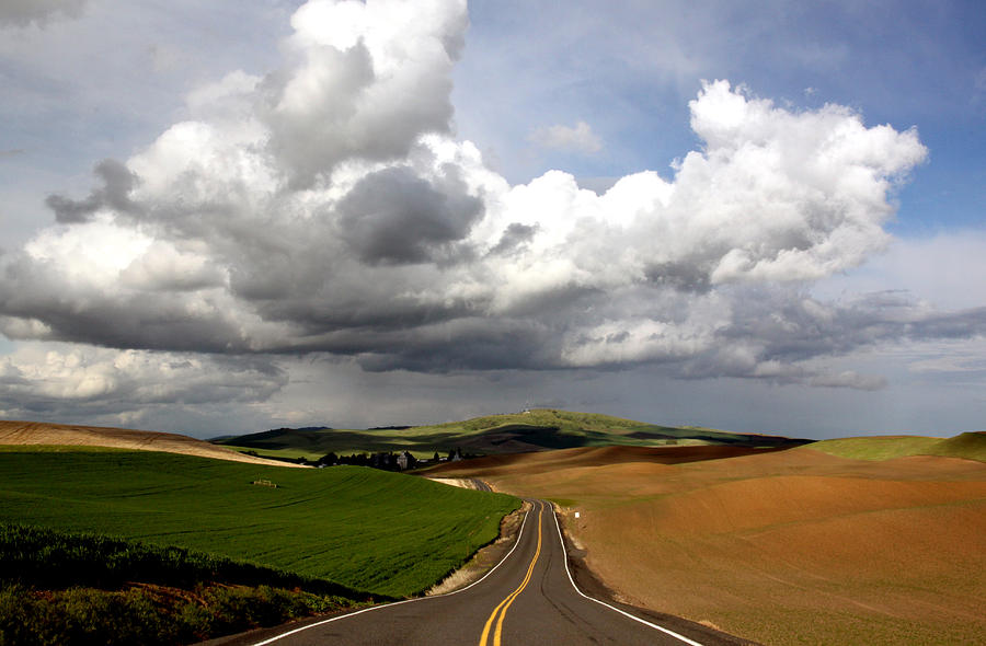 Palouse Road Idaho Photograph by Ross Lewis
