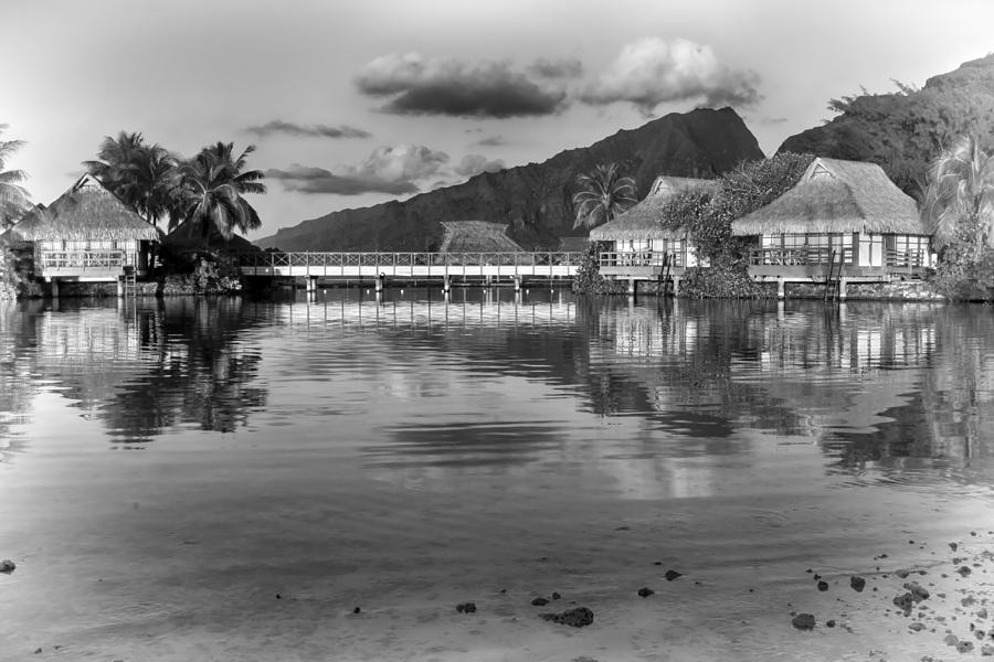 Polynesia Photograph by Gigi Ebert
