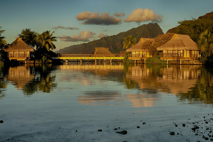 Polynesian Art Photograph by Gigi Ebert