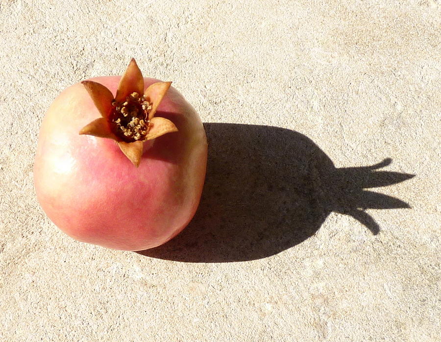 Pomegranate and shadow Photograph by Rita Adams