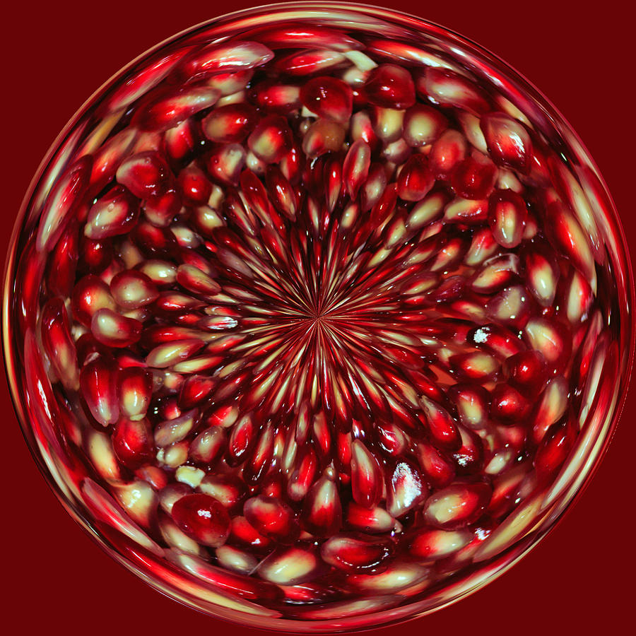 Abstract Photograph - Pomegranate Ball of Seeds by Tikvahs Hope