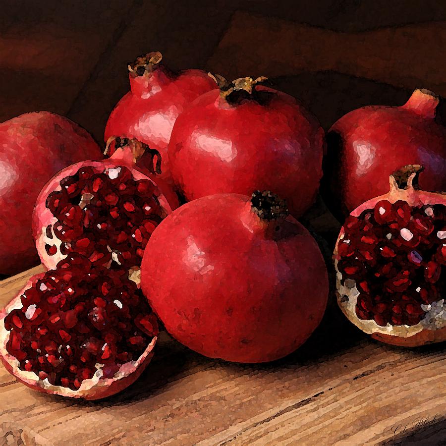 Nature Painting - Pomegranate by Cole Black