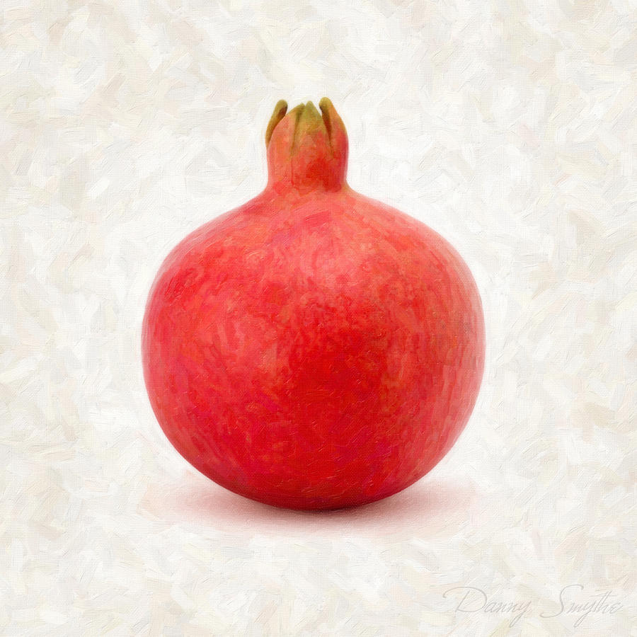 Nature Painting - Pomegranate by Danny Smythe