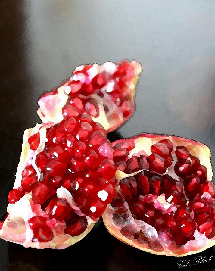 Nature Painting - Pomegranate Detail by Cole Black
