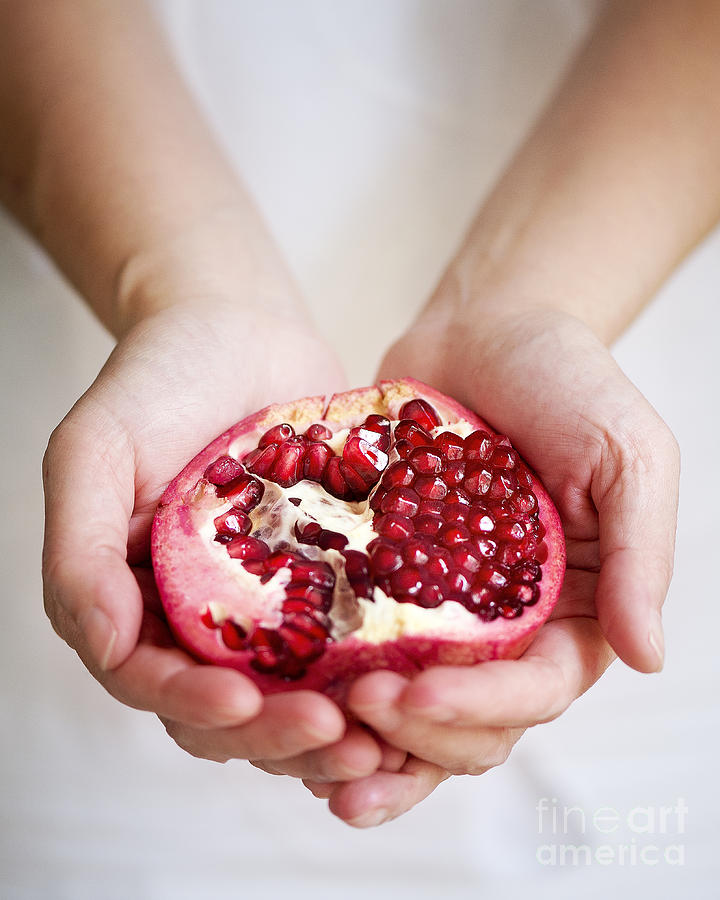 Pomegranate for you Photograph by Ivy Ho
