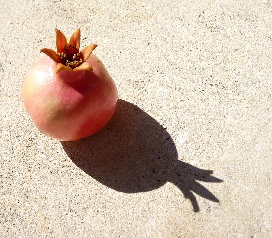 Pomegranate on concrete front shadow Photograph by Rita Adams