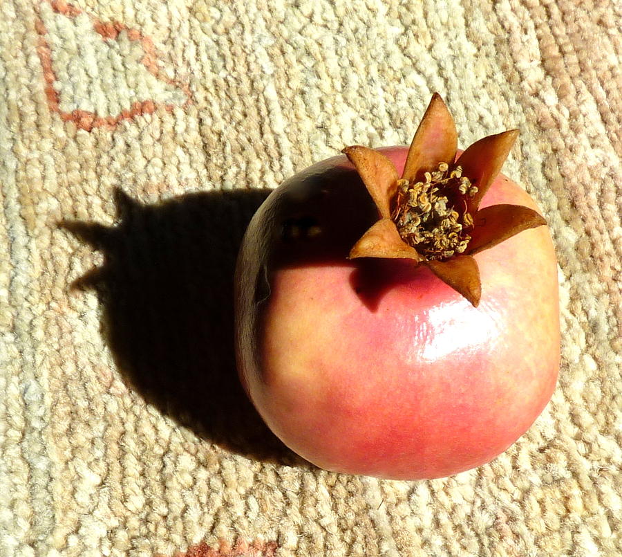 Pomegranate on rug Photograph by Rita Adams