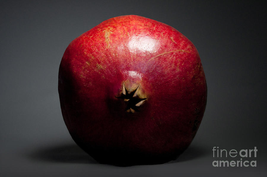 Pomegranate Portrait Photograph by Dan Holm - Fine Art America