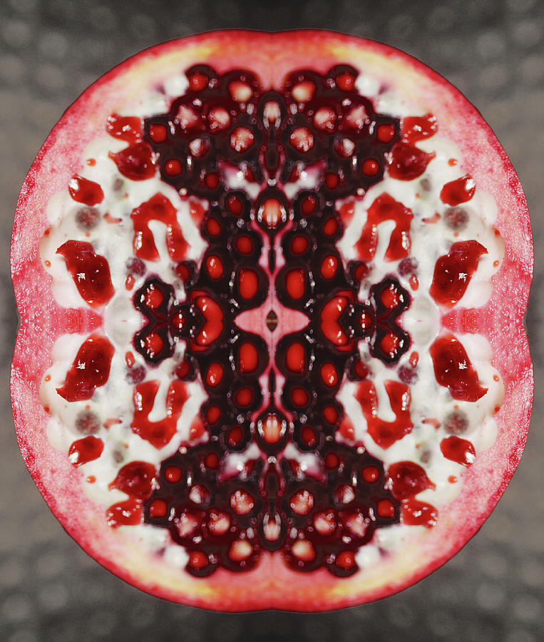 Pomegranate, Punica Granatum Photograph by Silvia Otte
