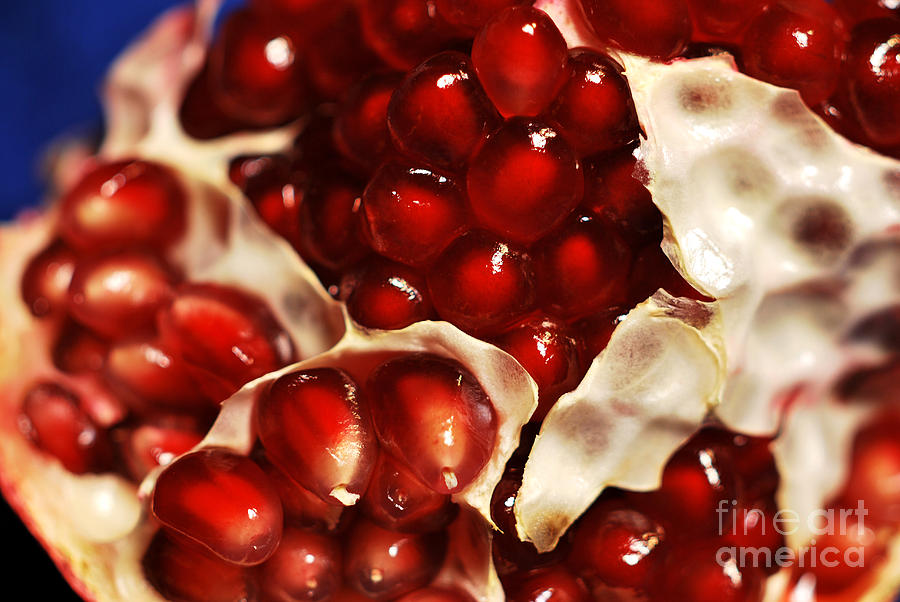 Pomegranate Seeds Photograph by Nancy Mueller