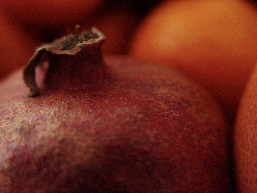 Pomegranate Still Life Photograph by Noa Mohlabane
