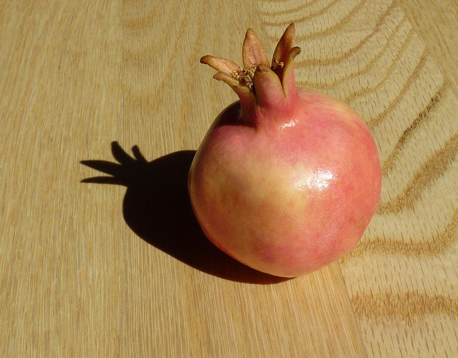 Pomegranate wood 2 Photograph by Rita Adams