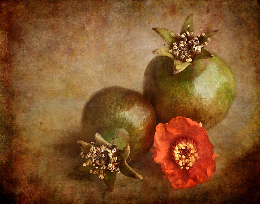 Pomegranates Photograph by David and Carol Kelly