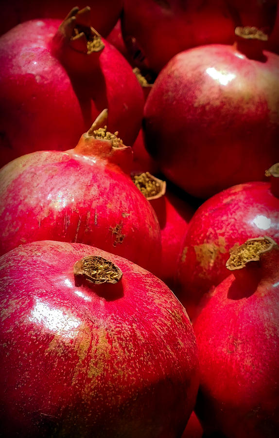 Pomegranates Photograph by Karen Wiles