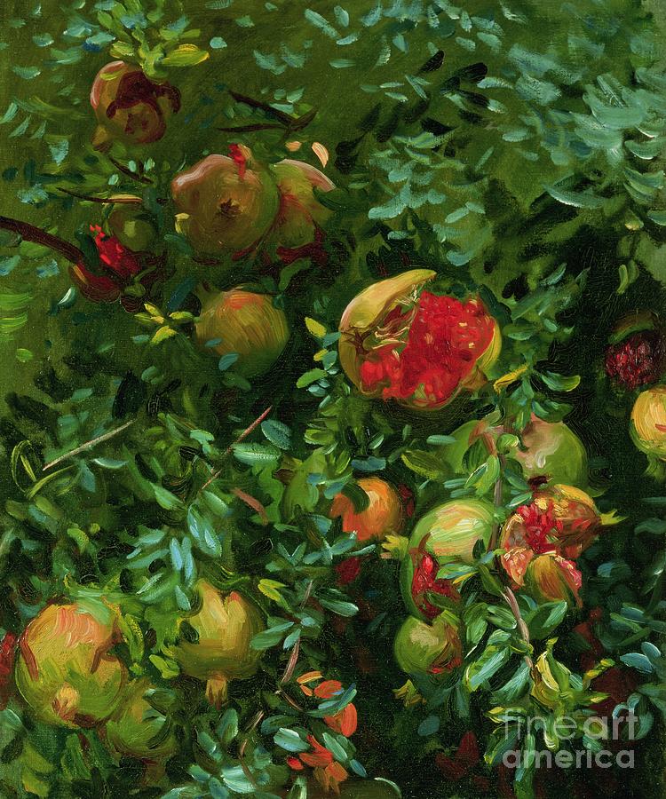 Pomegranates    Majorca Painting by John Singer Sargent