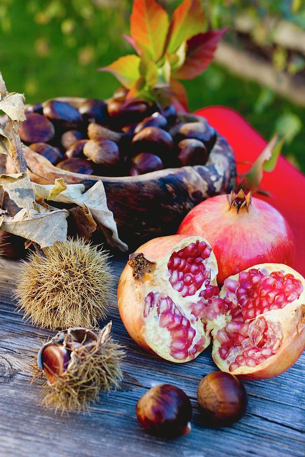 https://images.fineartamerica.com/images-medium-large-5/pomegranates-sweet-chestnuts-and-autumn-leaves-eising-studio-food-photo-and-video.jpg