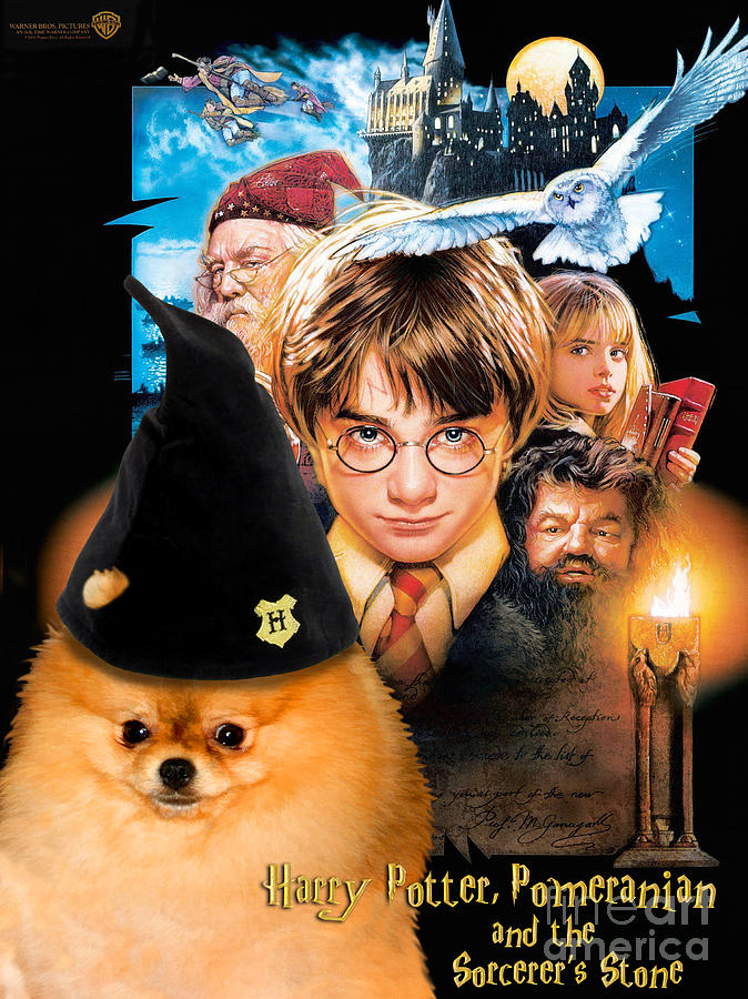 Pomeranian Art Canvas Print - Harry Potter Movie Poster Painting by Sandra Sij
