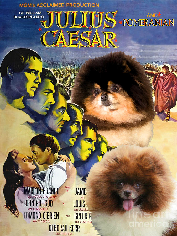 Pomeranian Art Canvas Print - Julius Caesar Movie Poster Painting by Sandra Sij