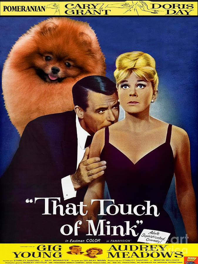 Pomeranian Art Canvas Print - That Touch of Mink Movie Poster Painting by Sandra Sij