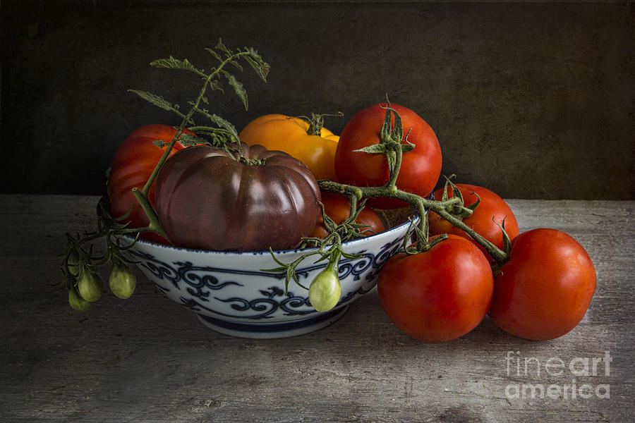 Tomato Photograph - Pomodori by Elena Nosyreva