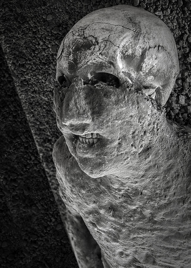 Pompeii Victim Photograph by Phil Cardamone