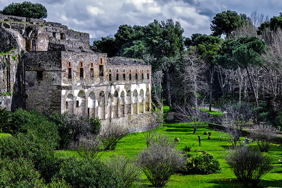 Pompei ruins and garden Photograph by Enrico Pelos