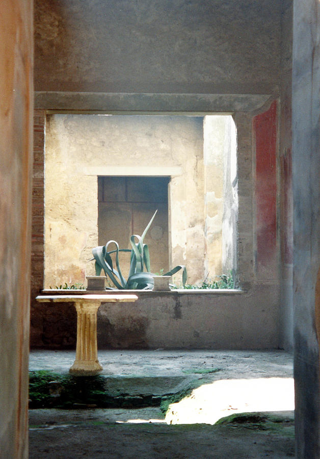 Pompeii Courtyard Photograph by Marna Edwards Flavell