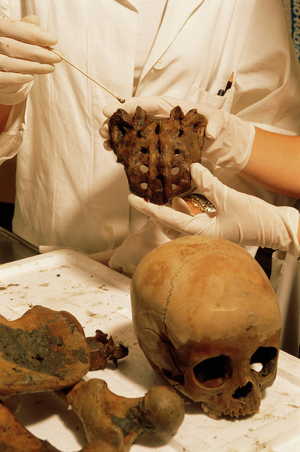 Skull Photograph - Pompeii Skull Being Sampled In A Lab by Pasquale Sorrentino/science Photo Library