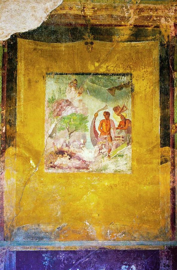 Pompeii Wall Painting. Photograph by Mark Williamson/science Photo Library