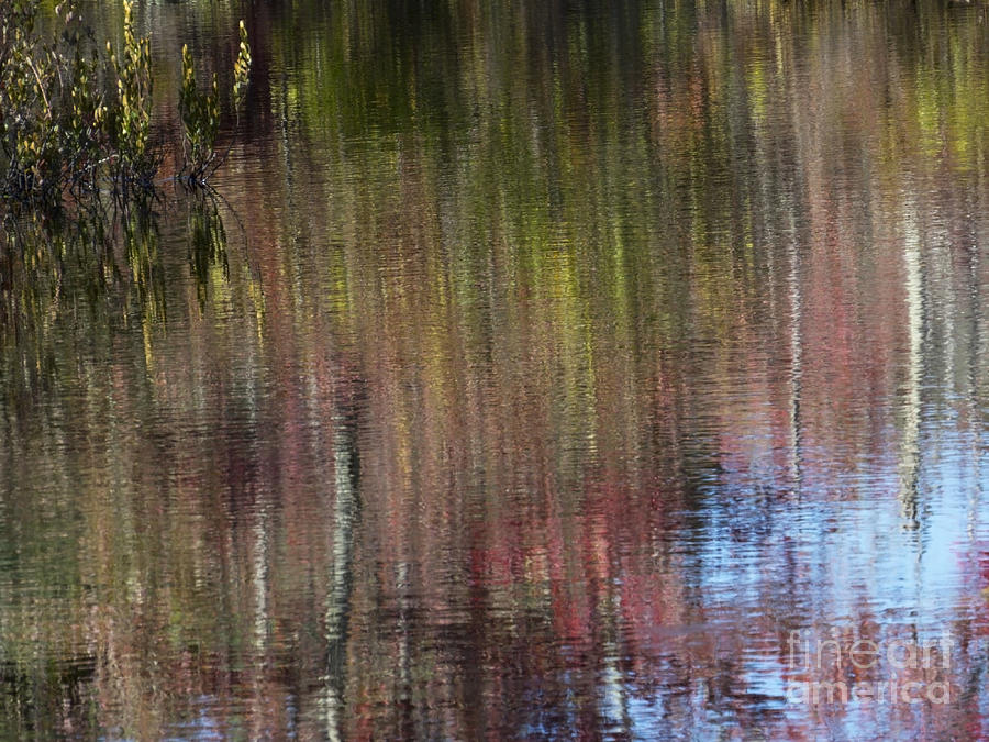 Ponagansett Autumn Abstract II Photograph by Lili Feinstein