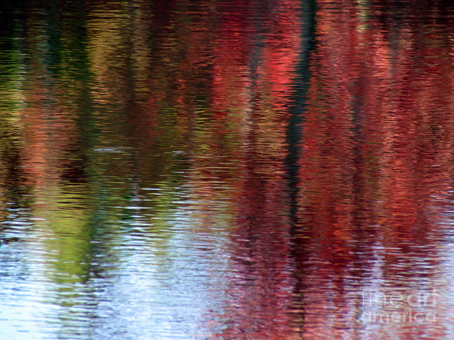 Ponagansett Autumn Abstract Photograph by Lili Feinstein