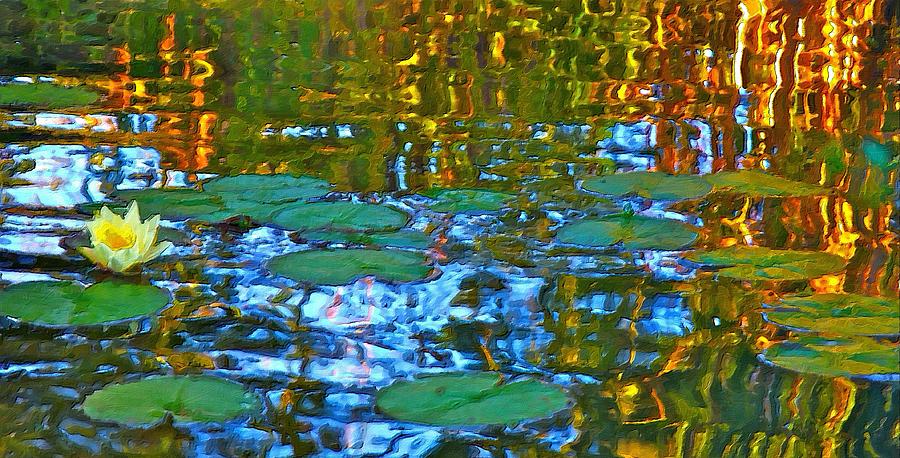 Pond Photograph By Adrianne Wilkinson Fine Art America