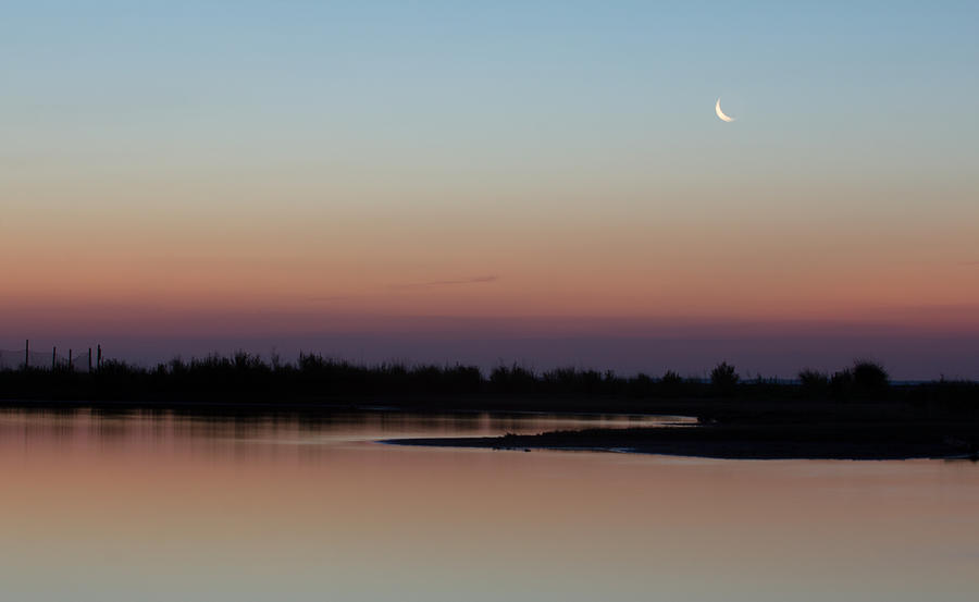 Pond at Dawn 2 Photograph by Leah Palmer