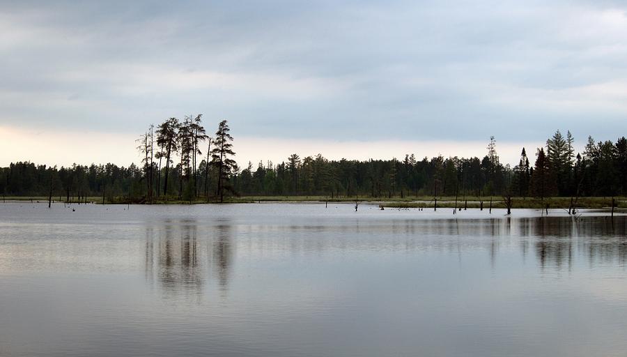 Pond At Dusk Photograph