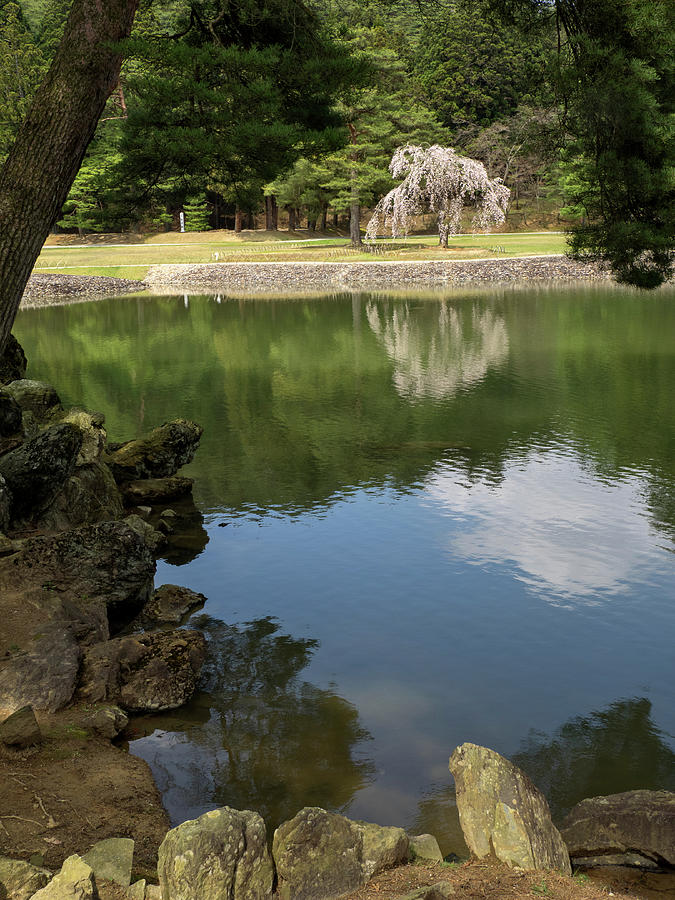 Pond At Mostu-ji Temple, Hiraizumi Photograph by Panoramic Images